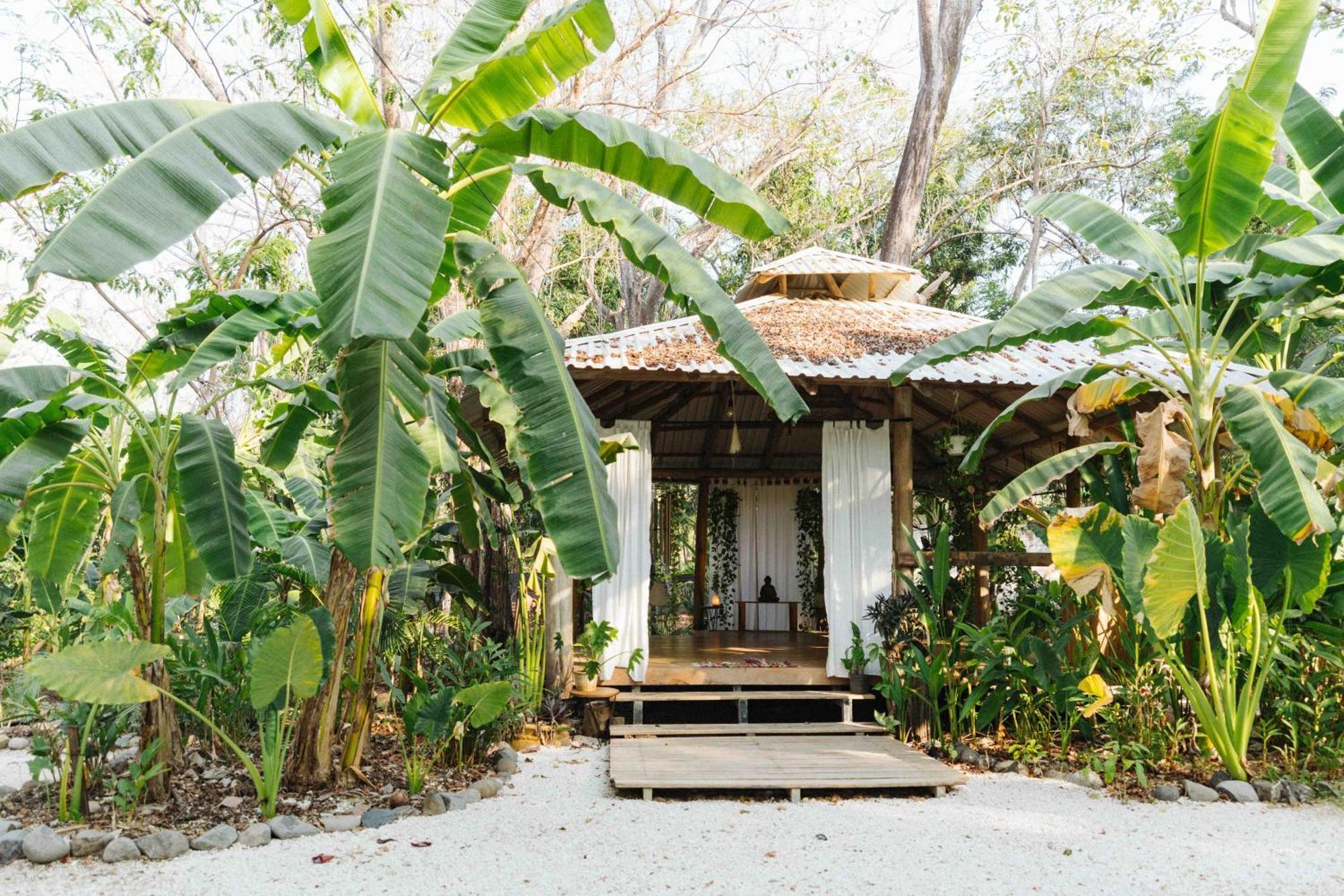 Zeneidas Surf Garden Playa Santa Teresa  Zewnętrze zdjęcie