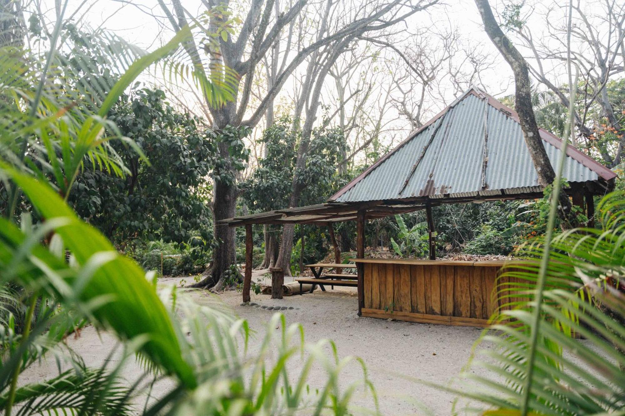 Zeneidas Surf Garden Playa Santa Teresa  Zewnętrze zdjęcie