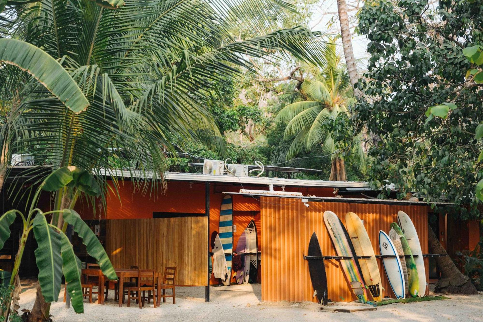 Zeneidas Surf Garden Playa Santa Teresa  Zewnętrze zdjęcie