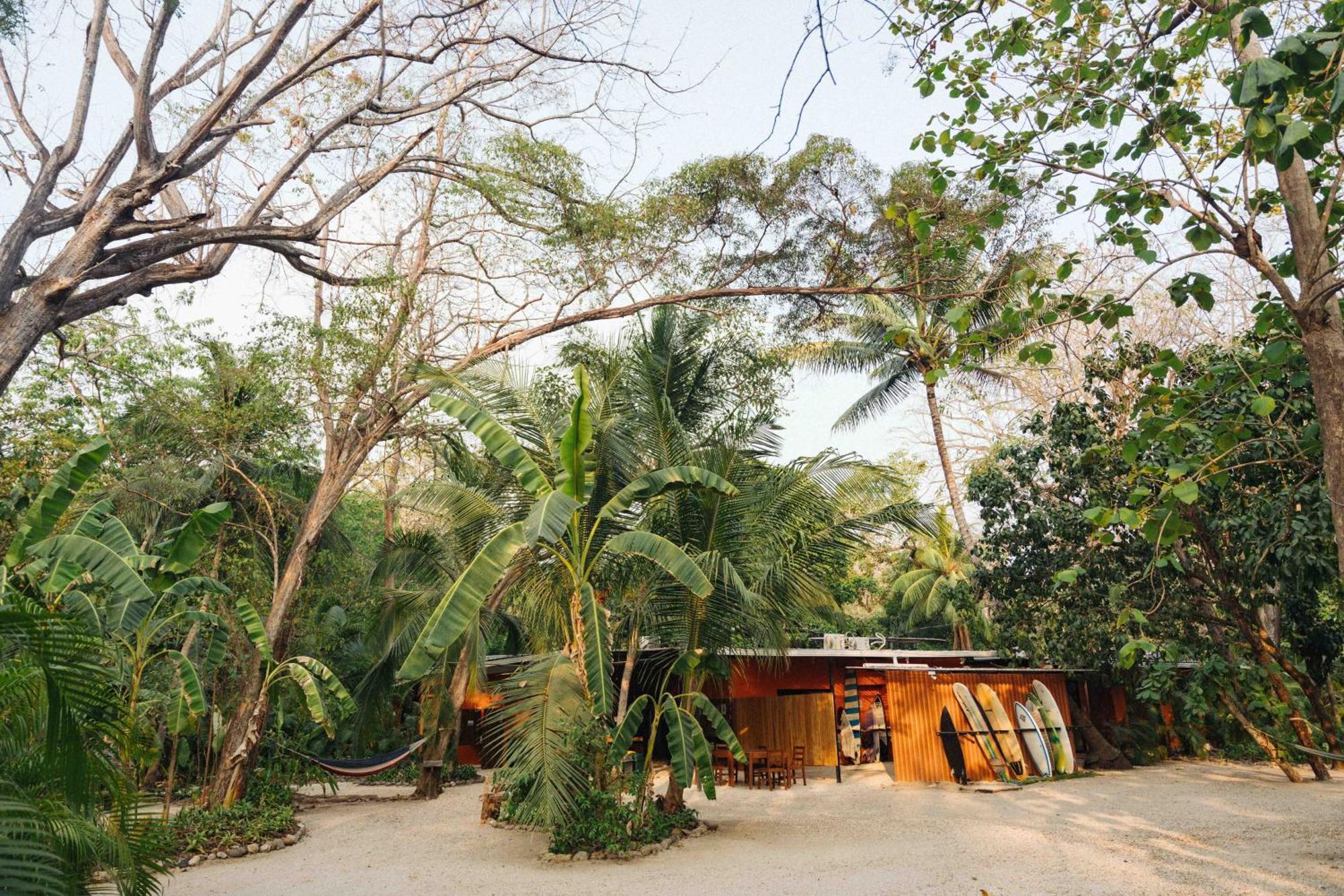 Zeneidas Surf Garden Playa Santa Teresa  Zewnętrze zdjęcie